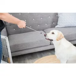 Dog Activity - výcviková pomůcka s vestavným clikrem TRIXIE