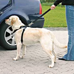 Postroj do auta pro psa XS 20-50cm TRIXIE Postroj do auta pro psa XS 20-50cm TRIXIE