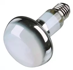 Basking Spot-Lamp 100W TRIXIE