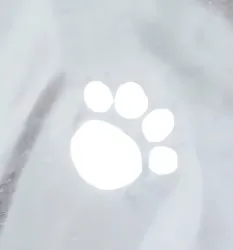 Pláštěnka Tarbes M 50 cm TRIXIE