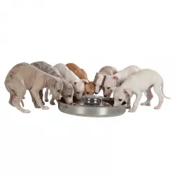 Nerez miska pro štěňata 1,4 l / 29 cm TRIXIE