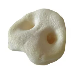 Vepřový rypáček bílý - bal.500 g TRIXIE CZ