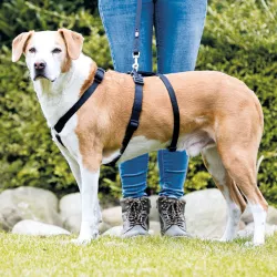 Nylonový postroj STAY (proti úniku) XS-S 30-40 cm/10 mm TRIXIE