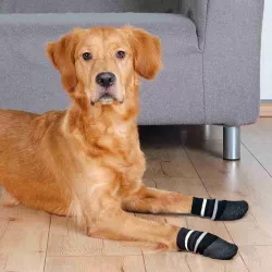 Protiskluzové ponožky černé L, 2 ks pro psy bavlna/lycra TRIXIE Protiskluzové ponožky černé L, 2 ks pro psy bavlna/lycra TRIXIE