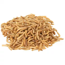 Sušený moučný červ 70 g TRIXIE