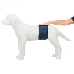 Břišní pás na podložky pro psa samce S 29-37 cm tmavě modrý TRIXIE
