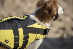 Life Vest plavací vesta pro psa M 45 cm: 45-72 cm, do 30kg žluto/černá TRIXIE