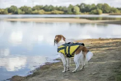 Life Vest plavací vesta pro psa S 35 cm: 42-66 cm, do 20kg žluto/černá TRIXIE
