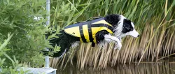 Life Vest plavací vesta pro psa XL 65 cm: 60-96 cm, do 45kg žluto/černá TRIXIE