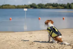 Life Vest plavací vesta pro psa XS 28 cm: 30-50 cm, do 12kg žluto/černá TRIXIE