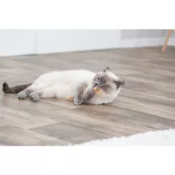 Matatabi tyčka s třásněmi, 24cm TRIXIE