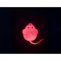 Led světelný ukazatel na povzbuzení instinktu, motiv myš, USB nabíjení, 8,5 cm (RP 2,10 Kč) TRIXIE