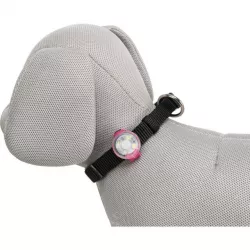 Flasher USB blikačka LED pro psy, 3 x 8cm TRIXIE