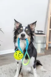 Bungee Tugger, přetahovadlo s míčem TPR, ø 7/48 cm TRIXIE