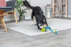 Bungee Tugger, přetahovadlo s míčem TPR, ø 7/48 cm TRIXIE