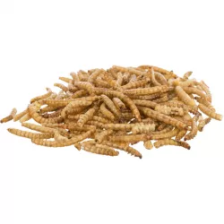 MEALWORMS, mouční červi sušení, 70g TRIXIE