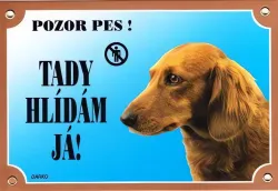 Barevná cedulka Pozor pes, Jezevčík dlouhosrstý Dafiko