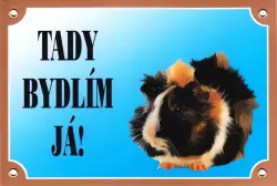Barevná cedulka Pozor pes, Morče Dafiko