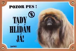 Barevná cedulka Pozor pes, Pekinéz Dafiko