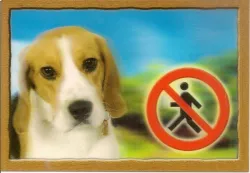 Cedulka 3D PSI, Beagle Dafiko