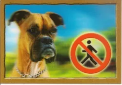Cedulka 3D PSI, Boxer Dafiko