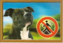 Cedulka 3D PSI, Stafordšírský terier Dafiko