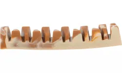 Denta Fun Veggie Jaw Bone, kost "čelist", 12 cm, 35g TRIXIE