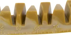 Denta Fun Veggie Jaw Bone kost "čelist", 22 cm, 85g TRIXIE
