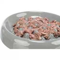 Slow Feed, keramická miska k pomalému krmení, 0.25 l/ø 18 cm, modrá, šedá TRIXIE