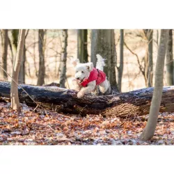 Pláštěnka VIMY S 40cm - červená TRIXIE