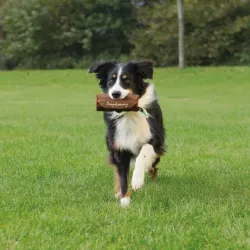 Preydummy, ø 6 × 14 cm, hnědá TRIXIE