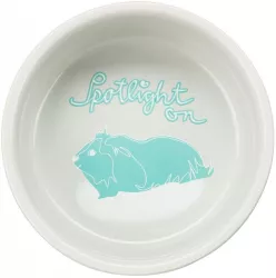 Keramická miska SPOTLIGHT pro morčata, 250 ml/ø 11 cm TRIXIE