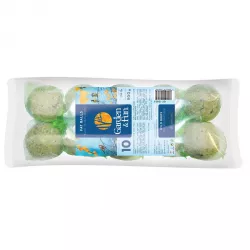 GARDEN FUN balení lojových koulí pro ptáky á 90g (10 ks v bal) LOLO