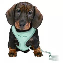JUNIOR puppy souprava, měkký postroj 26-34cm/10mm + vodítko 2,00m/10mm - mátová