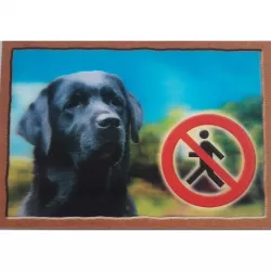 Cedulka 3D PSI, Labradorský retrivr (černý) Dafiko