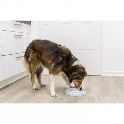 Miska k pomalému krmení, design kruhy, 0,45 l/ø 23 cm, plast/TPR, šedá