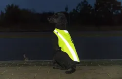 Bezpečnostní vesta, reflexní, M: 50 cm, neon žlutá TRIXIE