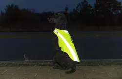 Bezpečnostní vesta, reflexní, S: 40 cm, neon žlutá TRIXIE