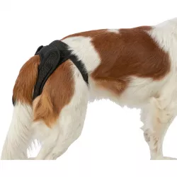 Ochranné hárací kalhotky Comfort se síťkou, L: 50-59 cm, černá TRIXIE