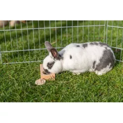 Snack Box - interaktivní hra pro králíčky, 14 x 3 x 7 cm, dřevo TRIXIE