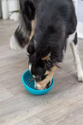Lick’n'Snack miska k pomalému krmení 16 cm, silikon, petrolejová TRIXIE