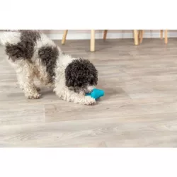 Snack Spinner - hračka na pamlsky, 12 cm, přírodní guma, petrolejová TRIXIE