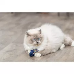Sea Animal - mořská zvířátka s catnipem, 5-8 cm, různé druhy TRIXIE