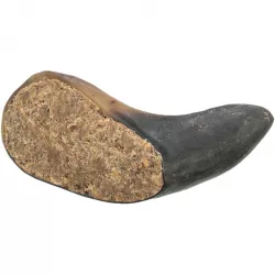 Buffalo Horn, buvolí roh plněný buvolím penisem a šlachou, 10-14 cm TRIXIE