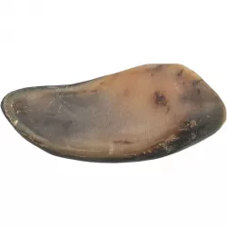 Buffalo Horn, buvolí roh plněný buvolím penisem a šlachou, 10-14 cm TRIXIE