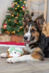 Xmas Bear - medvídek 20 cm, hračka pro psy, se zvukem, plyš TRIXIE
