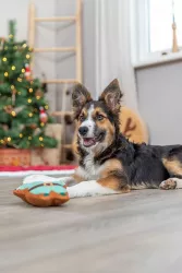 Xmas Santa - hračka pro psy 22 cm, bez zvuku, plyš TRIXIE