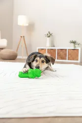 DOG ACTIVITY krokodýl na pamlsky, 12 cm, přírodní guma, zelená TRIXIE