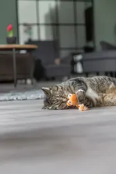 Dráček, plyšová hračka s catnipem, 20 cm, různé barvy TRIXIE