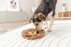 DOG ACTIVITY lev, šustící koberec na pamlsky, ø 26 cm, polyester, hnědá TRIXIE